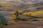 luci della val d'Orcia luci della val d'Orcia
