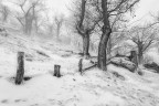 neve e vento neve e vento