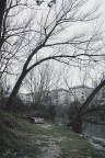 Ponte_Nomentano_Roma_Feb21 Ponte_Nomentano_Roma_Feb21