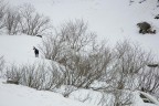 Il duro inverno Il duro inverno