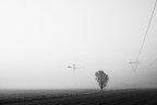 Il mattino Il mattino