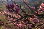 Eqinozio di primavera.... Eqinozio di primavera....