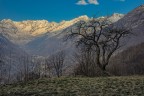 Le prime luci del giorno sulla valle Le prime luci del giorno sulla valle