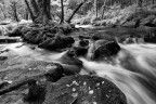 Golitha Falls 1/2 Golitha Falls 1/2