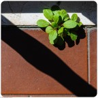 Out of My Window....    TODAY!