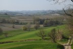 Mio Monferrato.... Collina Piemontesi... Mio Monferrato.... Collina Piemontesi...