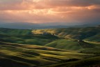 crete Senesi