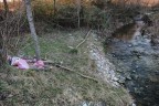 Natura Morta