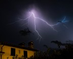 Fulmine... in giardino! Fulmine... in giardino!