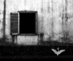 dal sogno dal sogno