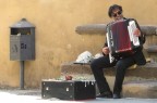 fisarmonica fisarmonica