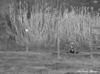Solitudine Solitudine