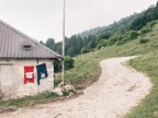 Malgari Malgari