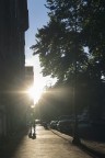 Love_in_the_sun