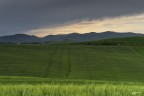Al tramonto.. Al tramonto..