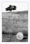 Colline lessiniche Colline lessiniche