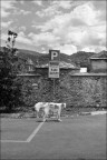 parking parking