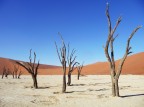 Deadvlei - gruppo Deadvlei - gruppo
