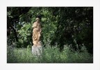 Venere dimenticata