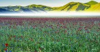 Colori e foschia.. Colori e foschia..