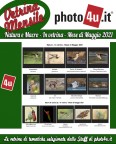 Natura e Macro - In vetrina - Mese di Maggio 2021 Natura e Macro - In vetrina - Mese di Maggio 2021