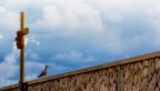 osservare oltre il muro osservare oltre il muro