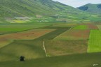 Tavolozze di colori.. Piana Castelluccio. Tavolozze di colori.. Piana Castelluccio.