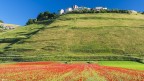 Castelluccio ed i suoi colori..(026) Castelluccio ed i suoi colori..(026)