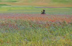 Ciclista Ciclista