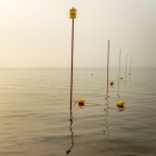 minimal 2 minimal 2