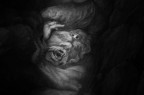 Dall'oscurit�