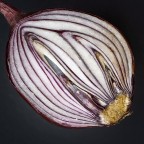 Onion Onion