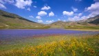 Castelluccio
