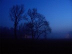 Alba scura Alba scura