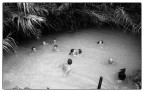 Terme Terme