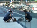 L'uomo e il cane L'uomo e il cane