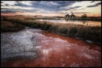 Le saline