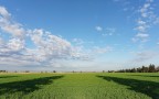 Campo,con le nuvole /2 Campo,con le nuvole /2