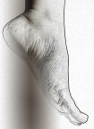 Movimento in Levare Movimento in Levare