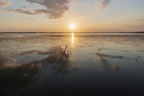 la palude la palude