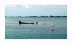 Laguna di Grado