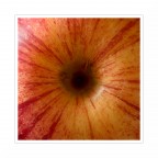 The black apple hole