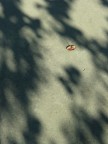 Solitude Solitude