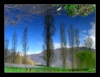 riflessi nel laghetto