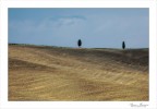 Gemelli sulle colline