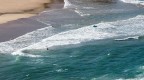 waves waves