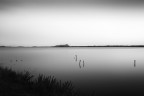 Silenzio Silenzio