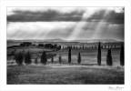 Bianco e Nero in Val D'Orcia Bianco e Nero in Val D'Orcia