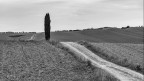 La lunga stradina di campagna..