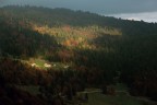 Accendere l'autunno